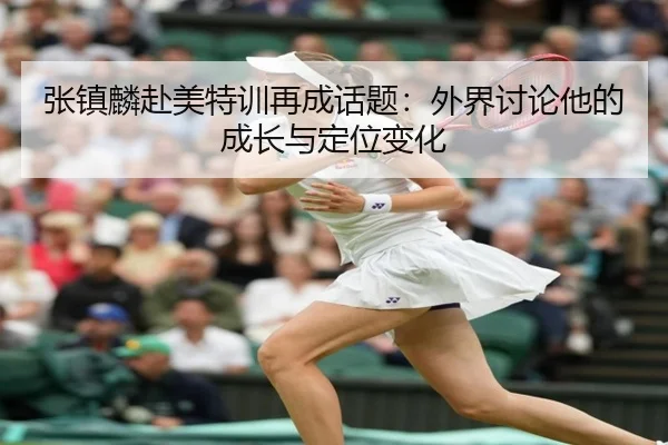 张镇麟赴美特训再成话题：外界讨论他的成长与定位变化